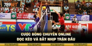 Cược Bóng Chuyền Online - Đọc Kèo Và Bắt Nhịp Trận Đấu