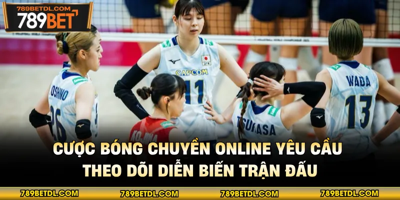 Cược bóng chuyền online yêu cầu theo dõi diễn biến trận đấu