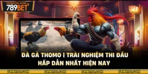 Đá Gà Thomo | Trải Nghiệm Thi Đấu Hấp Dẫn Nhất Hiện Nay