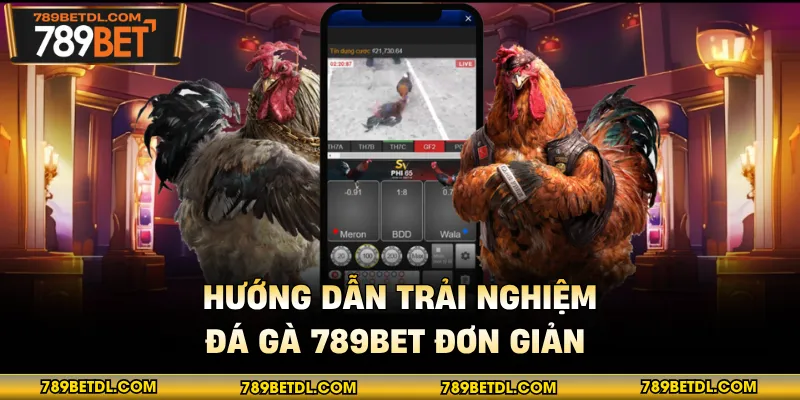 Hướng dẫn trải nghiệm đá gà 789BET đơn giản