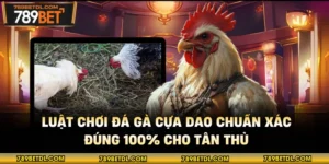 Luật Chơi Đá Gà Cựa Dao Chuẩn Xác, Đúng 100% Cho Tân Thủ