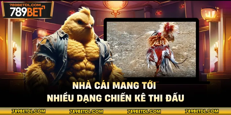 Nhà cái mang tới nhiều dạng chiến kê thi đấu