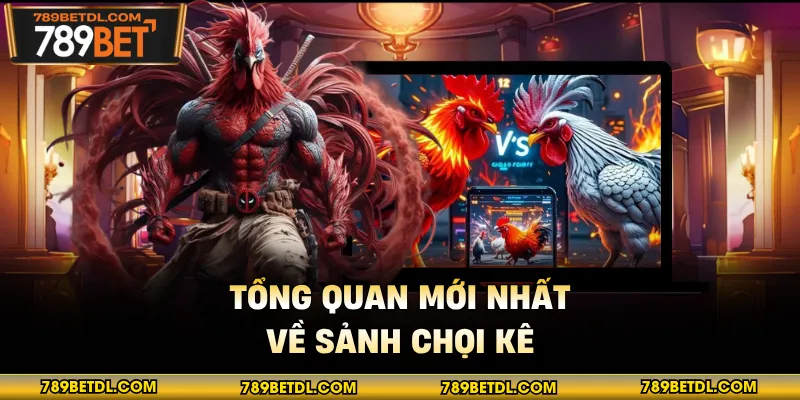Tổng quan mới nhất về sảnh chọi kê